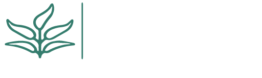 SAGE BOOKKEEPING SOLUTIONS